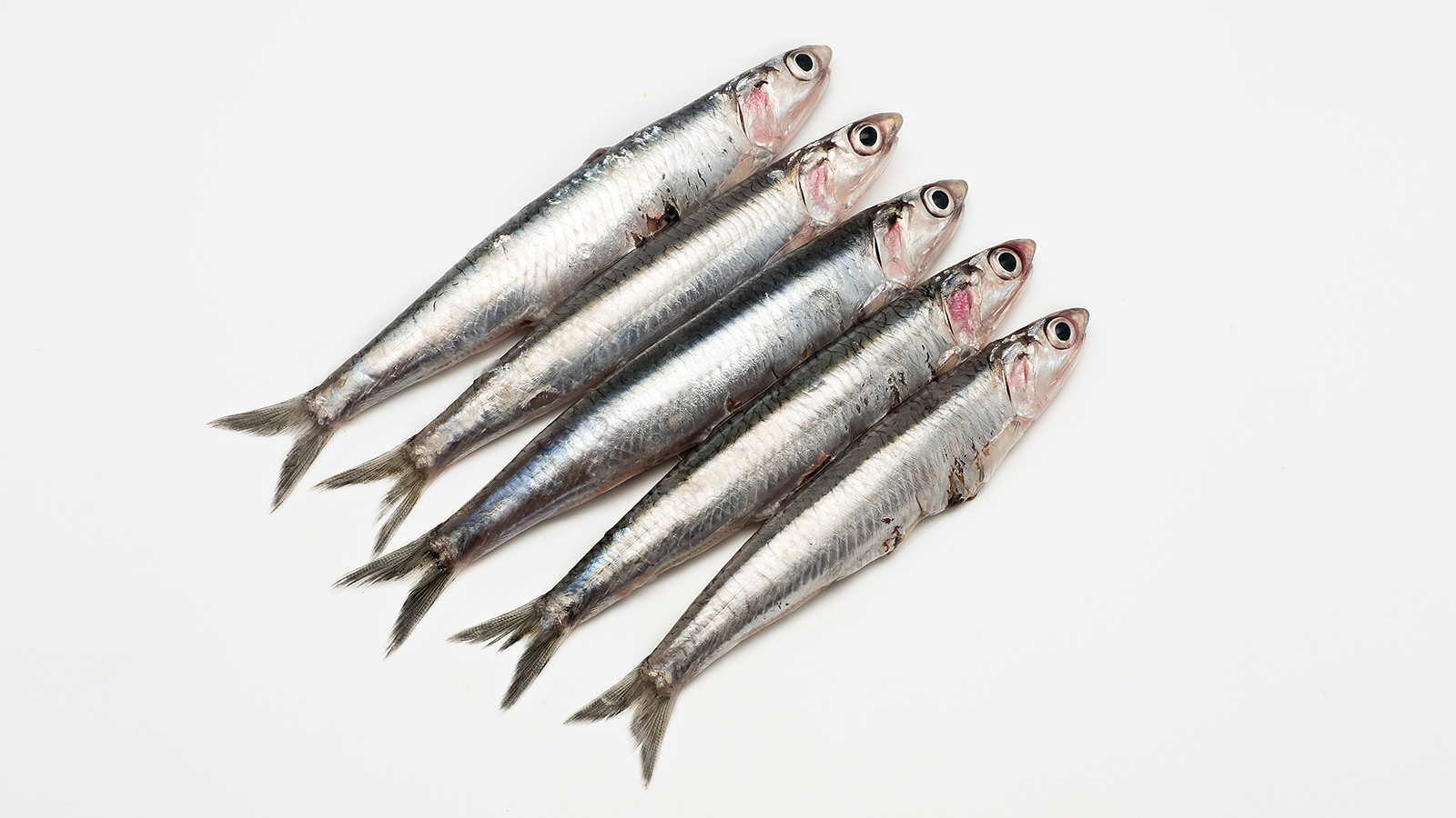 How nutraMetrix® Heart Health™ Essential Omega III Fish Oil with Vitamin E Benefits You*