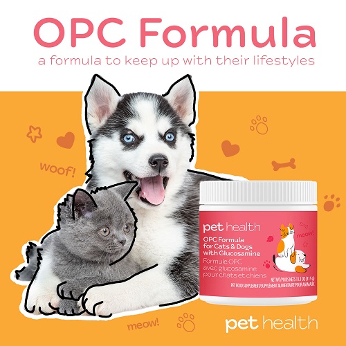 Pet Health OPC Formula for Cats & Dogs with Glucosamine. A formula to keepp up with their lifestyles. Photo is a grey kitten playing next to the product container.