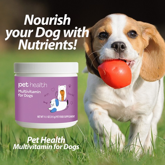 Primary Benefits of nutraMetrix Pet Health Multivitamin for Dogs*
