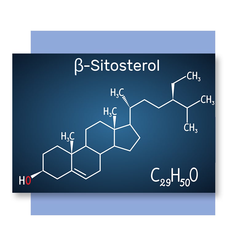 image of B-sitosterol molecular compound