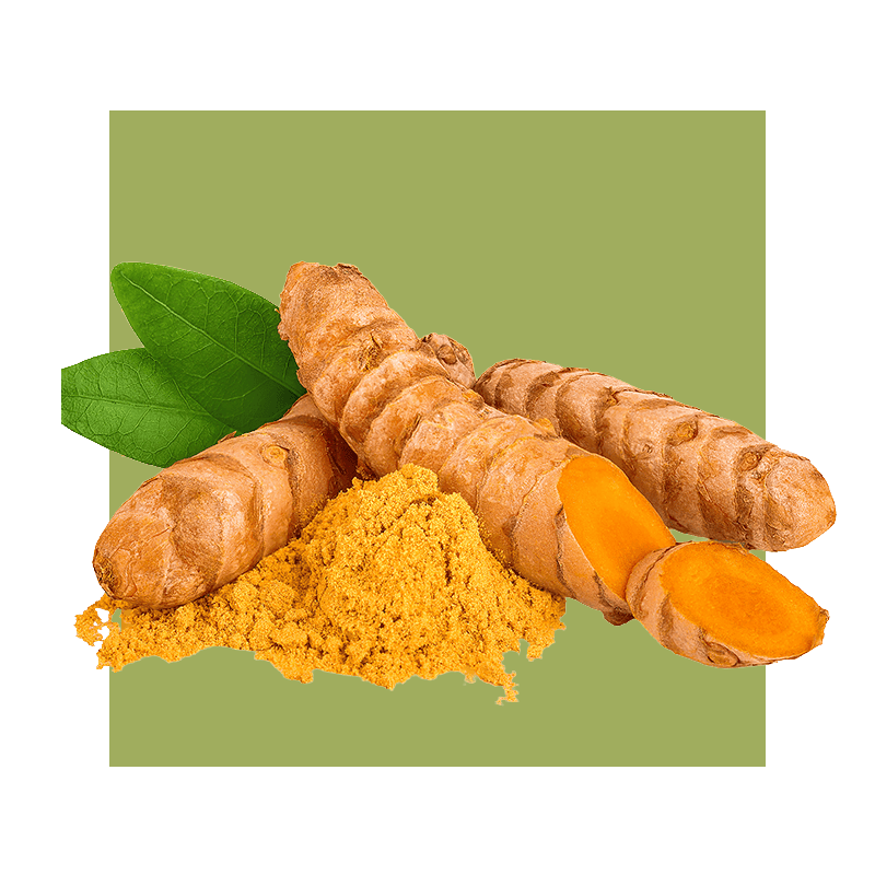 image of tumeric