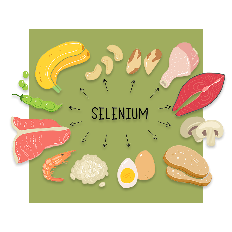 image of foods containing selenium