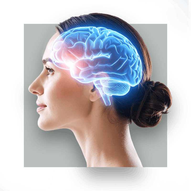 image of a head