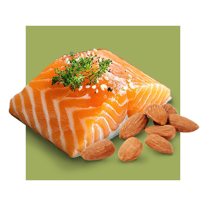 image of salmon with almonds