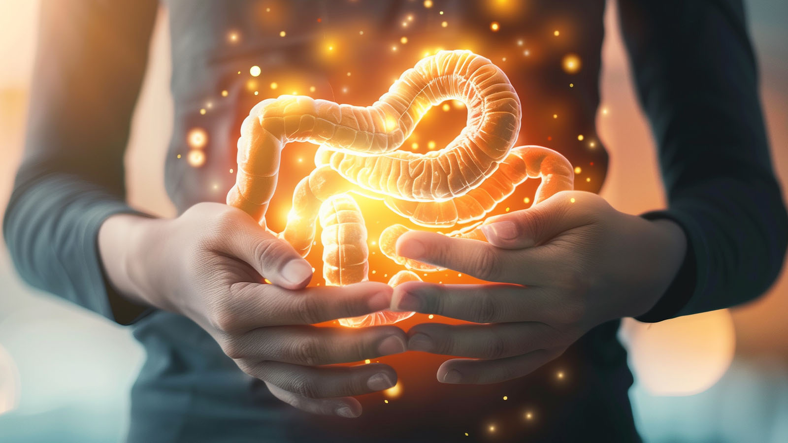 Image of healthy intestines