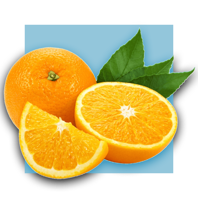 image of organge slices