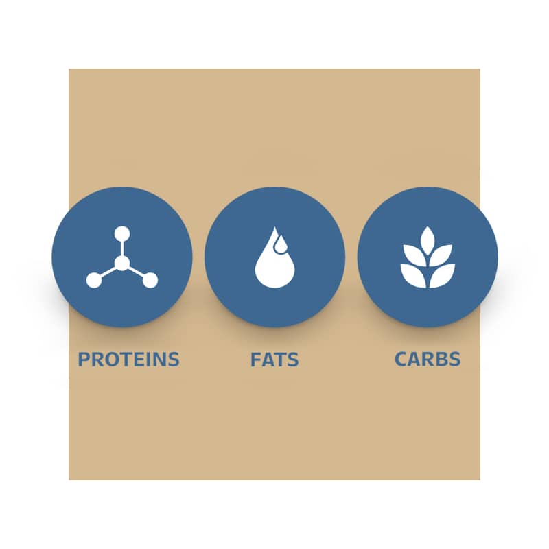 image of a module showing icons that represent proteins, fats and carbs