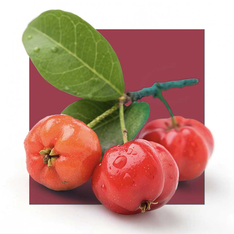 image of citrus fruit