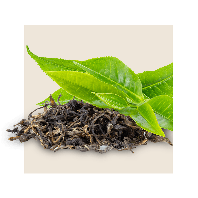 image of tea leaves