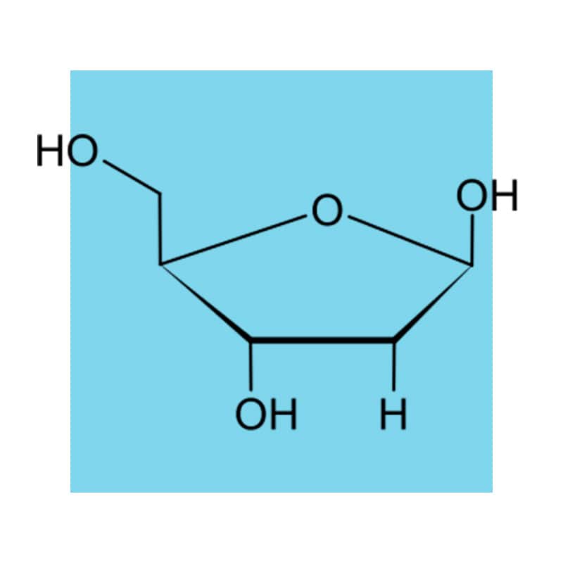 image of chemical structure of d-ribose